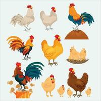 Chicken and rooster. Cute poultry farm character, cartoon chick with baby chicken isolated. Chicken vector illustration on white background