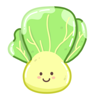 Cute Chinese Cabbage png