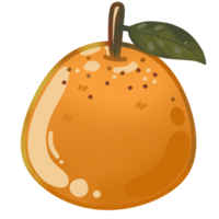 orange frukt illustration png