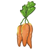 Nature Carrots Vegetable png