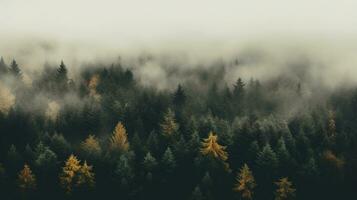 Generative AI, Misty autumn fir forest beautiful landscape in hipster vintage retro style, foggy mountains and trees. photo