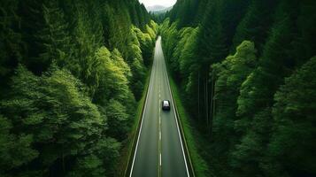 generativo ai, aéreo ver de la carretera Entre verde bosque, verde paisaje foto