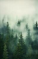 Generative AI, Misty fir forest beautiful landscape in hipster vintage retro style, foggy mountains and trees. photo