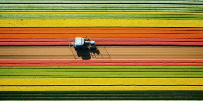 Generative AI, Farm colorful landscape, agricultural fields, beautiful countryside, country road. Nature Illustration, top view drone, horizontal banner. photo