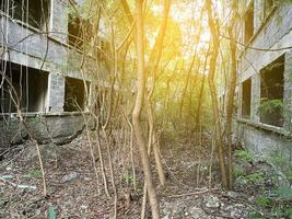 abandonado edificio cerca el bosque foto