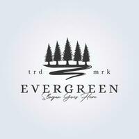 evergreen logo pine tree icon symbol vector illustration design