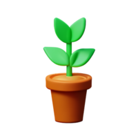 flower pot 3d rendering icon illustration png