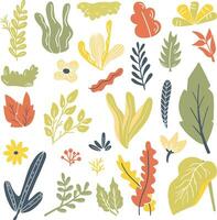 Vector set of different tropical and other isolated leaves