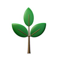 eucalyptus leaves 3d rendering icon illustration png