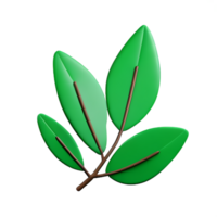 Eukalyptus Blätter 3d Rendern Symbol Illustration png