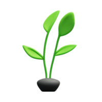 botanisch 3d renderen icoon illustratie png