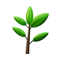 botanical 3d rendering icon illustration png