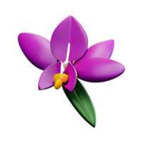 orchidée 3d le rendu icône illustration png