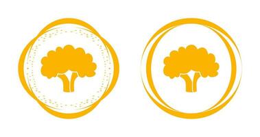 Cauliflower Vector Icon