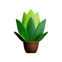 botanical 3d rendering icon illustration png