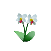 orchid 3d rendering icon illustration png