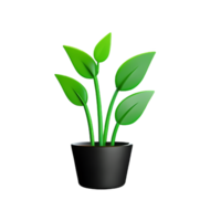 flower pot 3d rendering icon illustration png