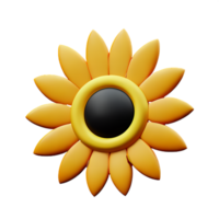 sun flower 3d rendering icon illustration png