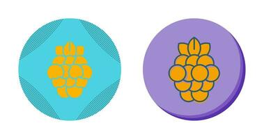 Raspberry Vector Icon