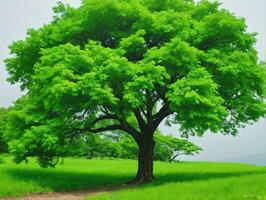 A Painting Of A Tree In A Grassy Field. AI Generated photo