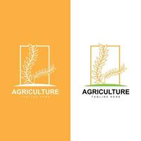 Rice Logo, Farm Wheat Logo Design, Vector Symbol Icon Graphic Illustration