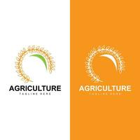 Rice Logo, Farm Wheat Logo Design, Vector Symbol Icon Graphic Illustration