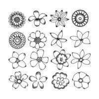 Set Of Flower Sketch vector