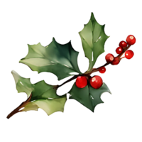 holly leaves and berries png