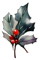 holly leaves and berries png
