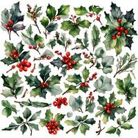 holly leaves and berries photo