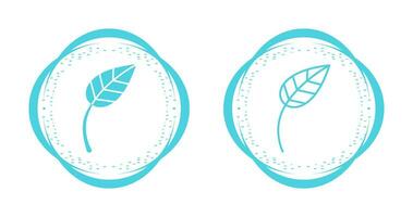 Leaf Vector Icon