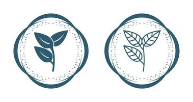 Leaves Vector Icon