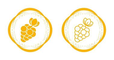 Berries Vector Icon