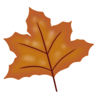 otoño otoño marple hojas png