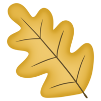 autumn elements illustration of Oak leaf png