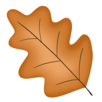 Herbst Elemente Illustration von Eiche Blatt png