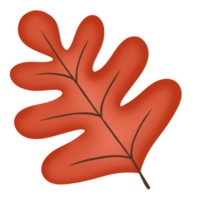 autumn elements illustration of Oak leaf png