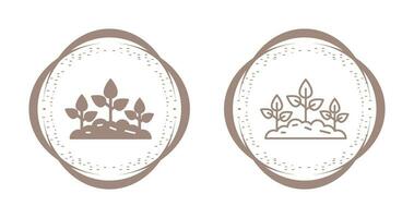 Plantation Vector Icon