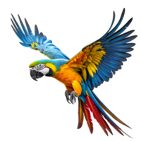 A parrot with blue and yellow feathers is flying in the air macaw parrot ai generative png