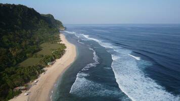Coastline Top View Aerial Photo