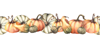 Vegetable seamless pumpkins colorful border, pattern. Watercolor autumn illustration. Hand drawing fall design for thanksgiving cards, posters, halloween wrapping, prints png