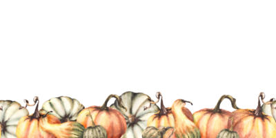 vegetabiliska sömlös pumpor färgrik gräns, mönster. vattenfärg höst illustration. hand teckning falla upprepa design för tacksägelse kort, halloween omslag, grafik png
