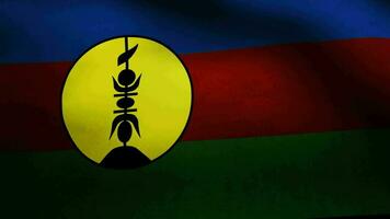 New Caledonia flag video