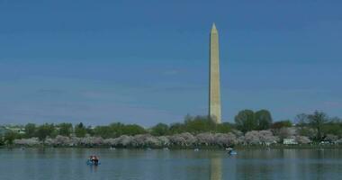 4k Washington monumento refletindo dentro água video