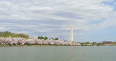 4k lang schot Washington monument video