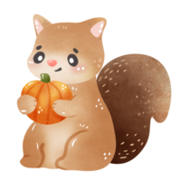 scoiattolo autunno autunno bosco zucca mano disegnato acquerello illustrazione png