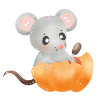 Mouse Fall Autumn Woodland Pumpkin Hand drawn Watercolor Illustration png