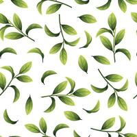 Seamless pattern of green leaves. Blueberry leaf texture. Twigs for fabric, wallpaper, wrapping paper, etc. vector