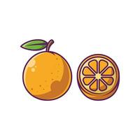 Orange Fruit Cartoon Vector Illustration Design. Fruits Premium Illustration Isolated.