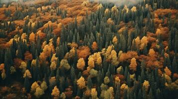 Generative AI, autumn colorful forest beautiful landscape in hipster vintage retro style, muted neutral colors. photo